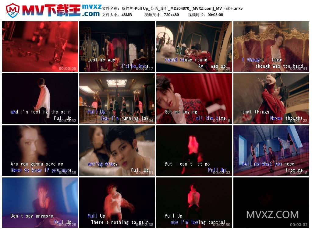 蔡徐坤-Pull Up_英语_流行_MD204870